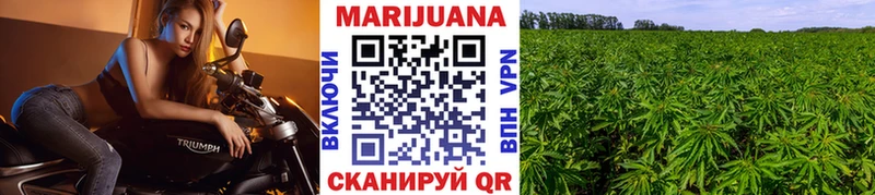 Шишки марихуана конопля Тайга